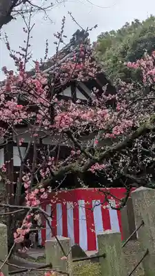 城南宮(京都府)