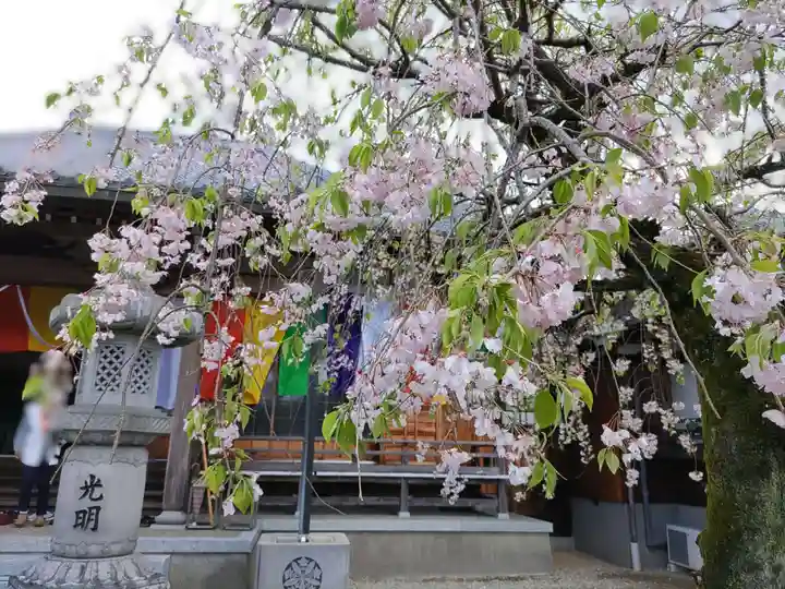 来昌寺(岐阜県)