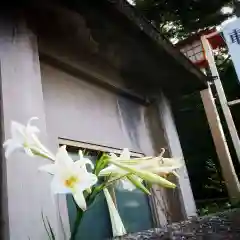 尾張大國霊神社（国府宮）の自然