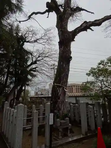 忠岡神社(大阪府)
