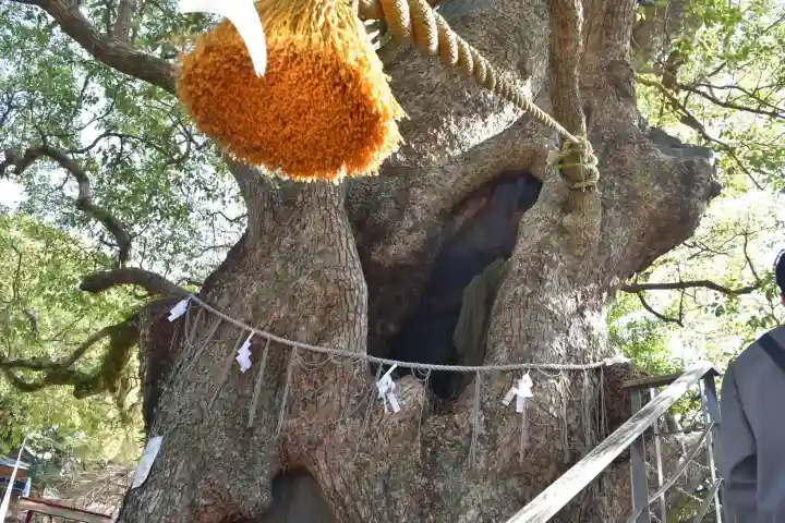 山王神社の{uncategorized: "未分類", other: "その他", undefined: "問題あり", building: "その他建物", grave: "お墓", sacred_gate: "鳥居", guardian: "狛犬", statue: "像", buddha: "仏像", history: "歴史", nature: "自然", garden: "庭園", animal: "動物", pagoda: "塔", temizu: "手水舎", mountain_gate: "山門・神門", sanctuary: "本殿・本堂", subordinate: "末社・摂社", art: "芸術", scenery: "景色", jizo: "地蔵", ema: "絵馬", goshuin: "御朱印", omikuji: "おみくじ", items: "授与品その他", amulet: "お守り", goshuincho: "御朱印帳", eats: "食事", festival: "お祭り", votive_dance: "神楽", shichigosan: "七五三参", wedding: "結婚式", experience: "体験その他", initially: "初詣", around: "周辺", anti_infection: "感染症対策"}
