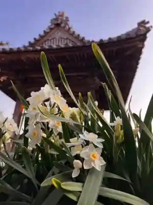 真言宗　善通寺派　薬王寺(香川県)