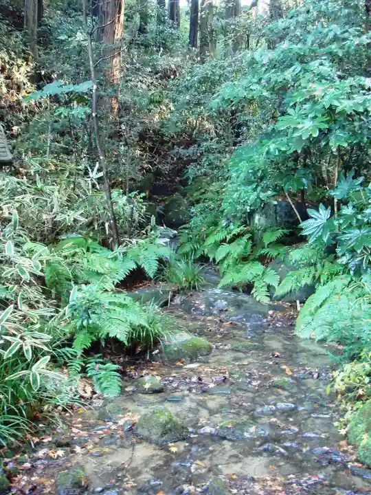 成田山新勝寺の自然