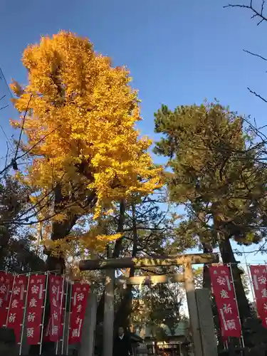 下神明天祖神社の鳥居