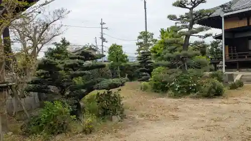 善照寺(京都府)