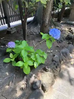 正覚院(東京都)