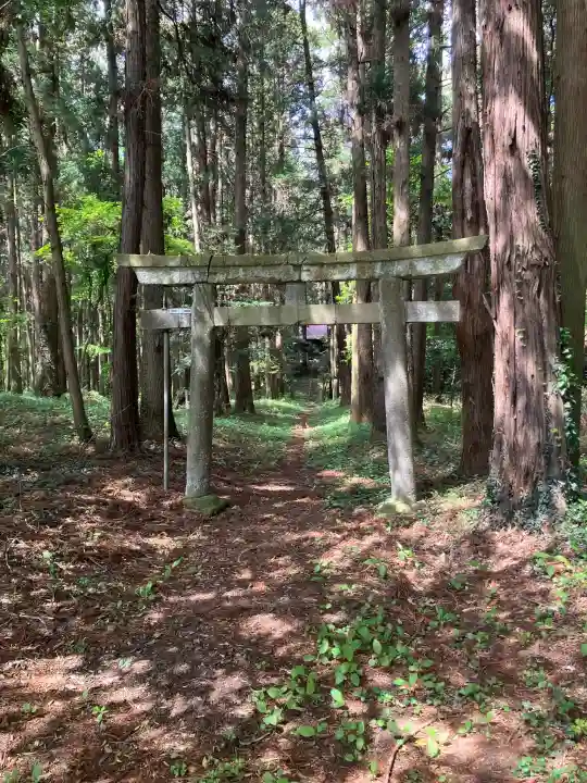 浅間神社の{uncategorized: "未分類", other: "その他", undefined: "問題あり", building: "その他建物", grave: "お墓", sacred_gate: "鳥居", guardian: "狛犬", statue: "像", buddha: "仏像", history: "歴史", nature: "自然", garden: "庭園", animal: "動物", pagoda: "塔", temizu: "手水舎", mountain_gate: "山門・神門", sanctuary: "本殿・本堂", subordinate: "末社・摂社", art: "芸術", scenery: "景色", jizo: "地蔵", ema: "絵馬", goshuin: "御朱印", omikuji: "おみくじ", items: "授与品その他", amulet: "お守り", goshuincho: "御朱印帳", eats: "食事", festival: "お祭り", votive_dance: "神楽", shichigosan: "七五三参", wedding: "結婚式", experience: "体験その他", initially: "初詣", around: "周辺", anti_infection: "感染症対策"}