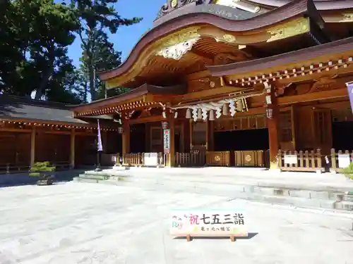 亀ケ池八幡宮の本殿・本堂