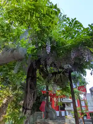 藤神稲荷神社(東京都)