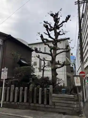 天王神社／紅葉狩社格納庫(愛知県)