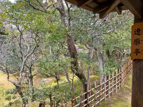 仁和寺の庭園