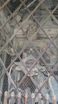 園城寺（三井寺）(滋賀県)