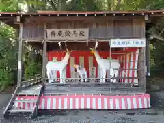 砥鹿神社（里宮）の狛犬