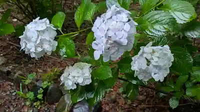 真正極楽寺(真如堂)(京都府)