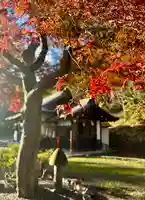 蚊里田八幡宮(長野県)