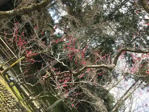 北野天満宮(京都府)