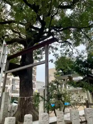 八幡神社の{uncategorized: "未分類", other: "その他", undefined: "問題あり", building: "その他建物", grave: "お墓", sacred_gate: "鳥居", guardian: "狛犬", statue: "像", buddha: "仏像", history: "歴史", nature: "自然", garden: "庭園", animal: "動物", pagoda: "塔", temizu: "手水舎", mountain_gate: "山門・神門", sanctuary: "本殿・本堂", subordinate: "末社・摂社", art: "芸術", scenery: "景色", jizo: "地蔵", ema: "絵馬", goshuin: "御朱印", omikuji: "おみくじ", items: "授与品その他", amulet: "お守り", goshuincho: "御朱印帳", eats: "食事", festival: "お祭り", votive_dance: "神楽", shichigosan: "七五三参", wedding: "結婚式", experience: "体験その他", initially: "初詣", around: "周辺", anti_infection: "感染症対策"}