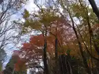 観音寺(神奈川県)