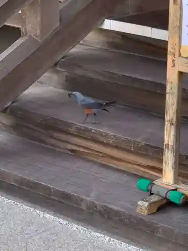 上行寺(静岡県)