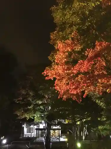 北広島市総鎮守　廣島神社の自然