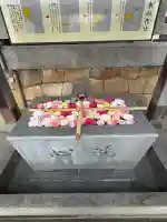 亀山八幡宮(山口県)