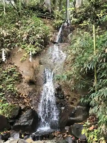 戸隠神社中社の自然