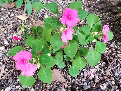 立志神社の自然