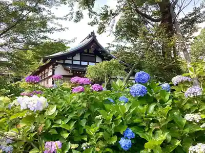 本土寺(千葉県)