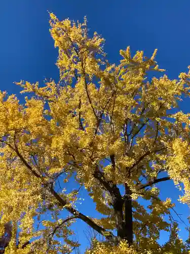三囲神社(東京都)