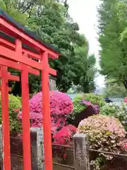 根津神社の鳥居