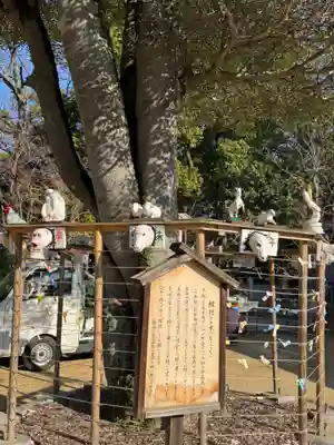 阿智神社(岡山県)