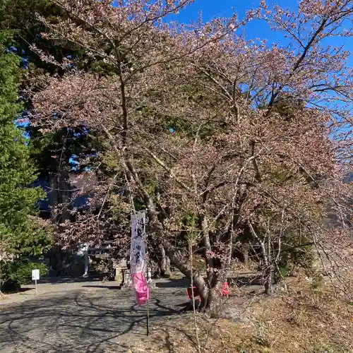 高司神社〜むすびの神の鎮まる社〜(福島県)