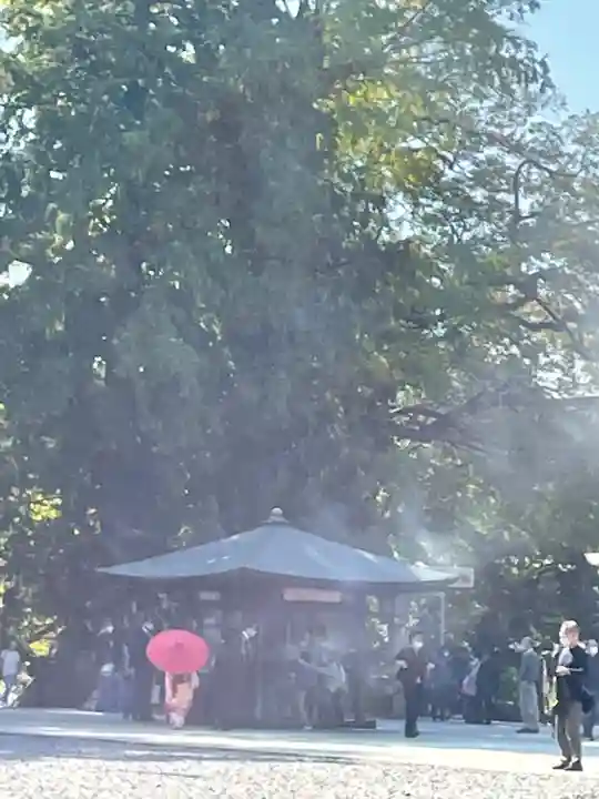 成田山新勝寺(千葉県)