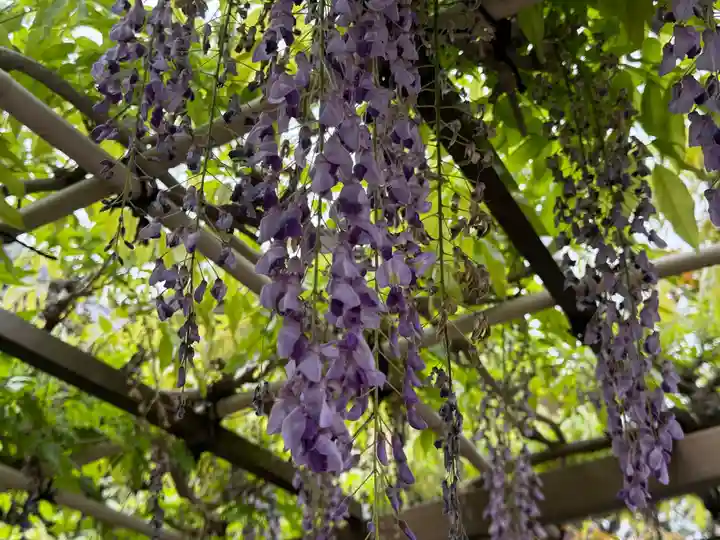 西方山極楽寺(岐阜県)