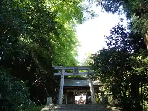 宗形神社の鳥居