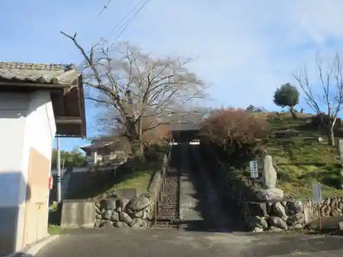 妙円寺(妙圓寺)(埼玉県)