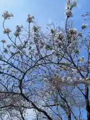 上関山 極楽寺(神奈川県)