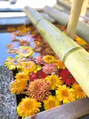 白山神社(新潟県)