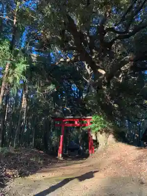 宇迦大神(千葉県)