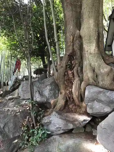 東光寺町稲荷神社の自然