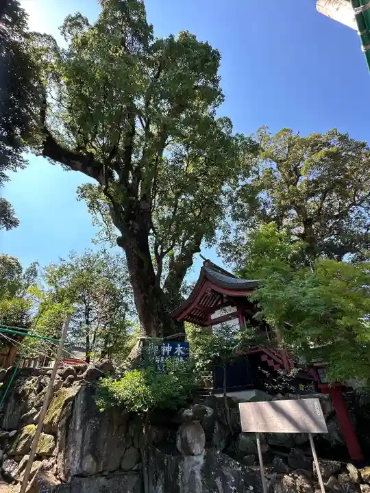 鹿児島神宮(鹿児島県)