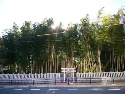 不知森神社(千葉県)