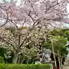 桜ヶ池池宮神社(静岡県)