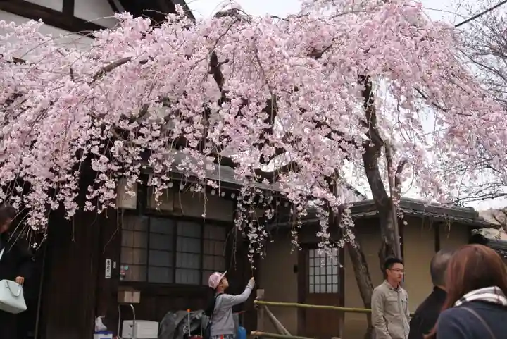 氷室神社の自然