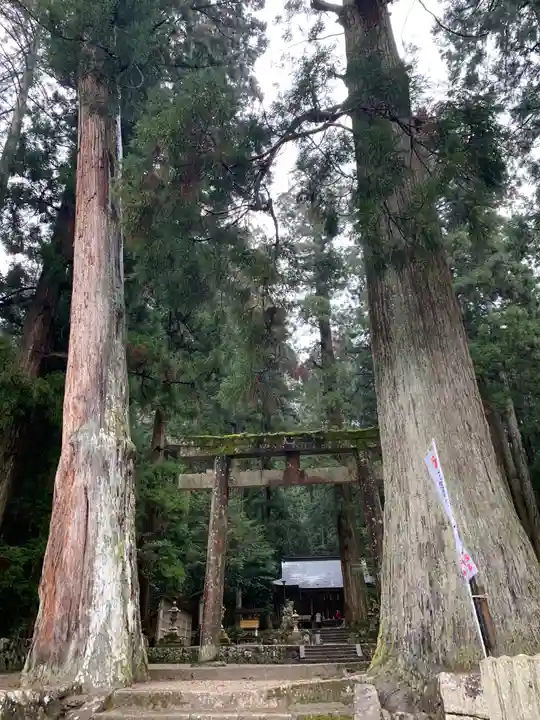 室生龍穴神社の鳥居