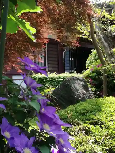 岩槻大師彌勒密寺の庭園