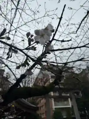 猿江神社の{uncategorized: "未分類", other: "その他", undefined: "問題あり", building: "その他建物", grave: "お墓", sacred_gate: "鳥居", guardian: "狛犬", statue: "像", buddha: "仏像", history: "歴史", nature: "自然", garden: "庭園", animal: "動物", pagoda: "塔", temizu: "手水舎", mountain_gate: "山門・神門", sanctuary: "本殿・本堂", subordinate: "末社・摂社", art: "芸術", scenery: "景色", jizo: "地蔵", ema: "絵馬", goshuin: "御朱印", omikuji: "おみくじ", items: "授与品その他", amulet: "お守り", goshuincho: "御朱印帳", eats: "食事", festival: "お祭り", votive_dance: "神楽", shichigosan: "七五三参", wedding: "結婚式", experience: "体験その他", initially: "初詣", around: "周辺", anti_infection: "感染症対策"}