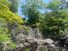 石山寺の自然