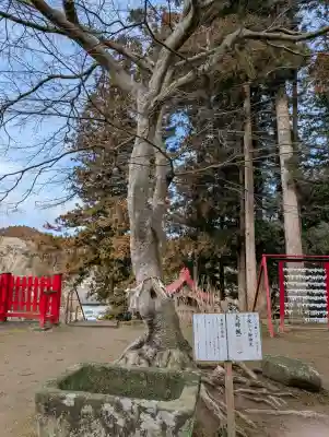 松澤神社の{uncategorized: "未分類", other: "その他", undefined: "問題あり", building: "その他建物", grave: "お墓", sacred_gate: "鳥居", guardian: "狛犬", statue: "像", buddha: "仏像", history: "歴史", nature: "自然", garden: "庭園", animal: "動物", pagoda: "塔", temizu: "手水舎", mountain_gate: "山門・神門", sanctuary: "本殿・本堂", subordinate: "末社・摂社", art: "芸術", scenery: "景色", jizo: "地蔵", ema: "絵馬", goshuin: "御朱印", omikuji: "おみくじ", items: "授与品その他", amulet: "お守り", goshuincho: "御朱印帳", eats: "食事", festival: "お祭り", votive_dance: "神楽", shichigosan: "七五三参", wedding: "結婚式", experience: "体験その他", initially: "初詣", around: "周辺", anti_infection: "感染症対策"}