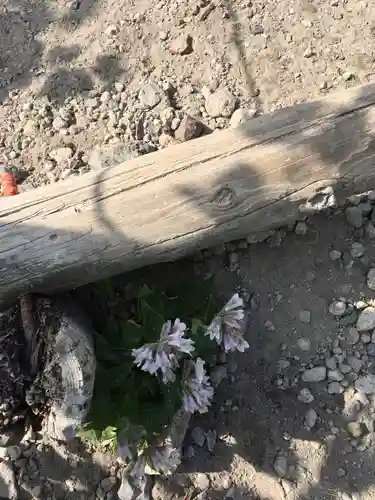 樽前山奥宮のその他建物